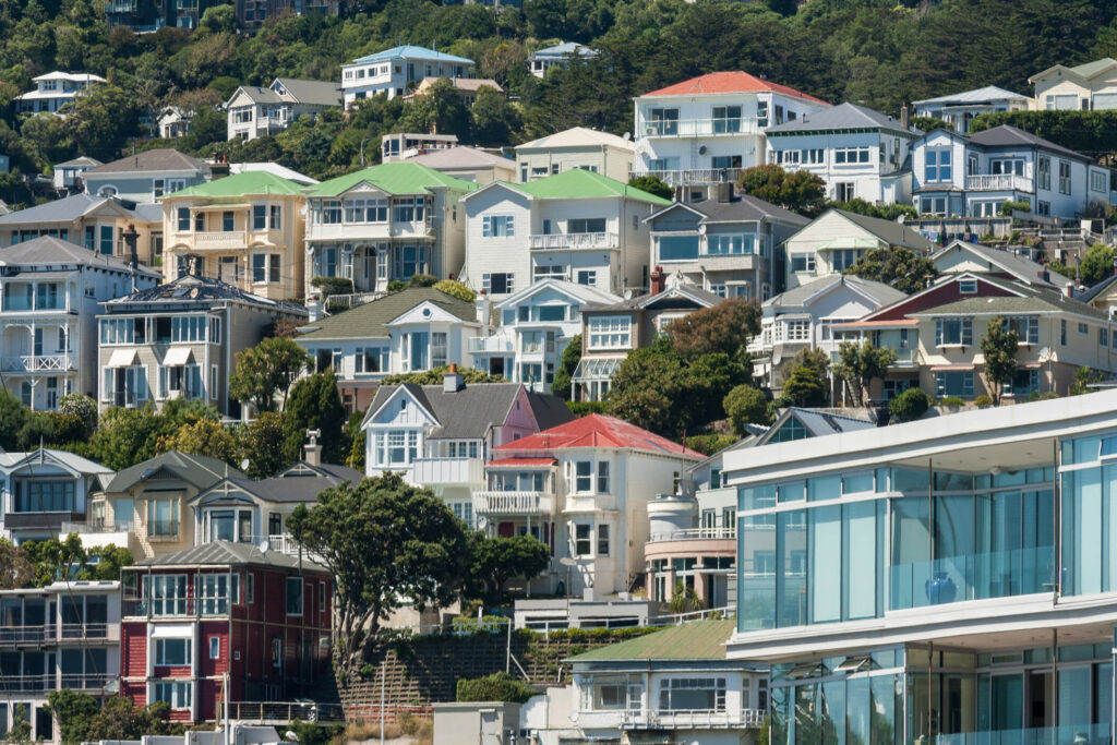 Wellington houses on a hill.