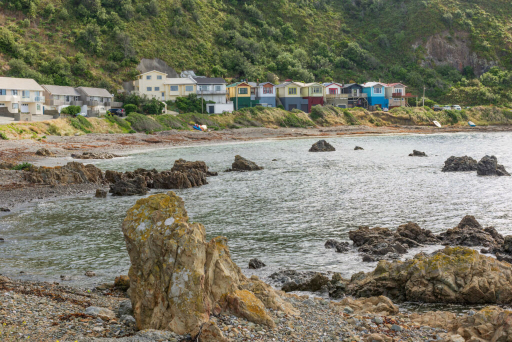 Wellington beach with homes against hillside.