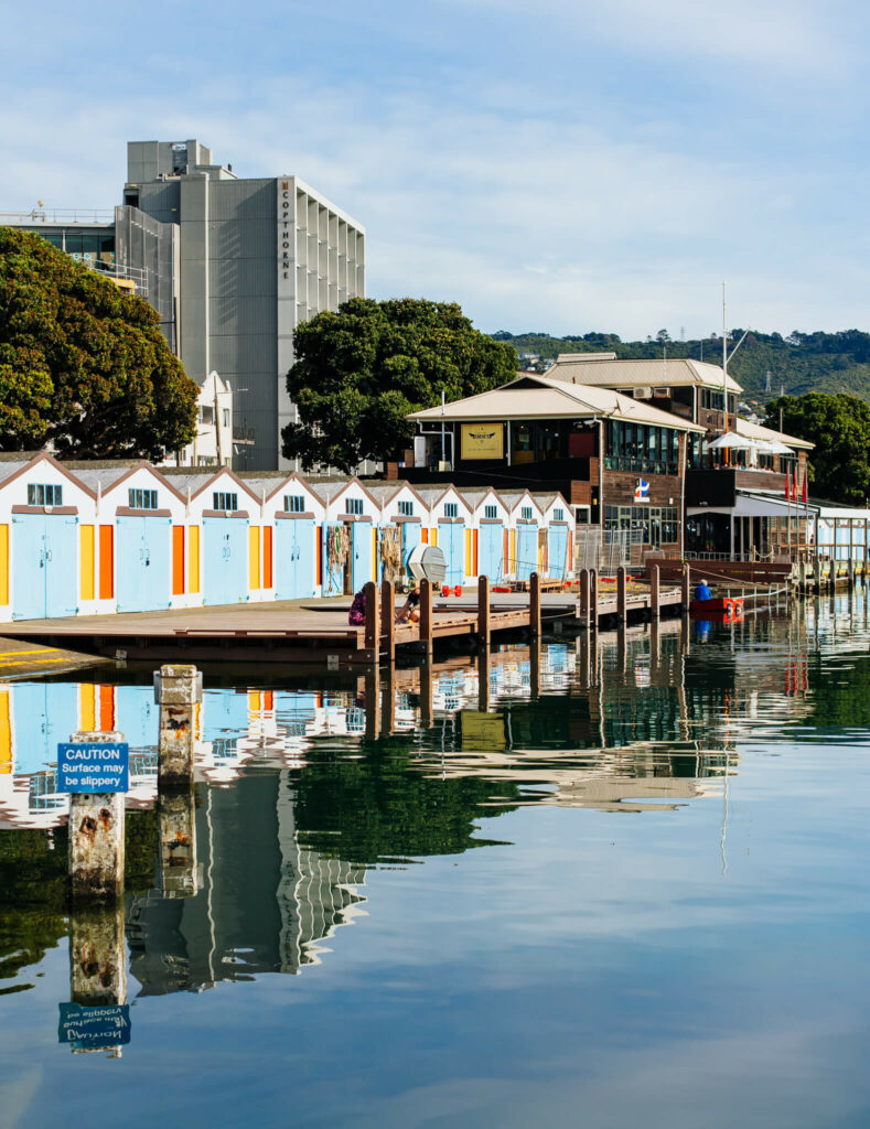 Wellington waterfront with colourful boat sheds.